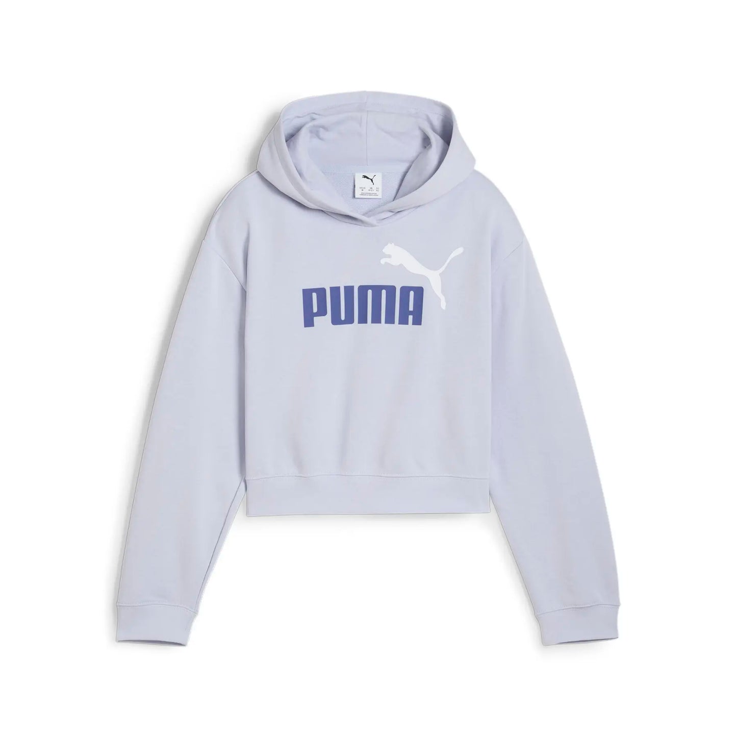Sweat à capuche PUMA Essentials 2