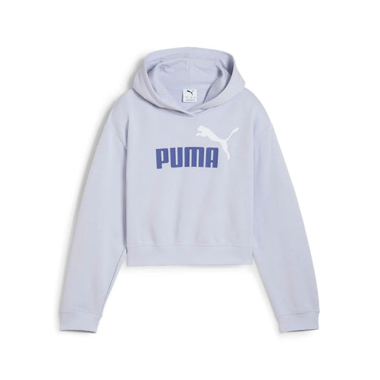 Sweat à capuche PUMA Essentials 2
